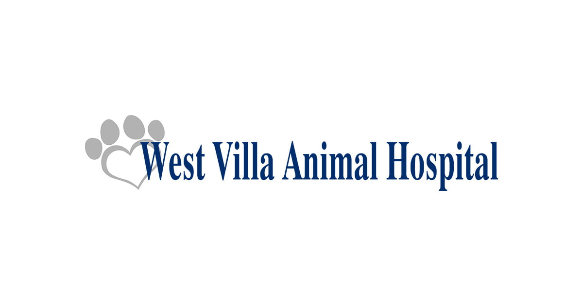 Animal Hospital Kearney, NE | West Villa Animal Hospital